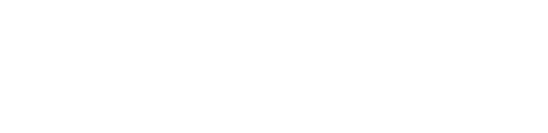 AVI Drones
